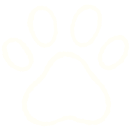 Logo Les Compagnons de Lili